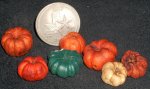 Dried Pumpkin Squash SH532 1:12 Miniature Produce Vegetable