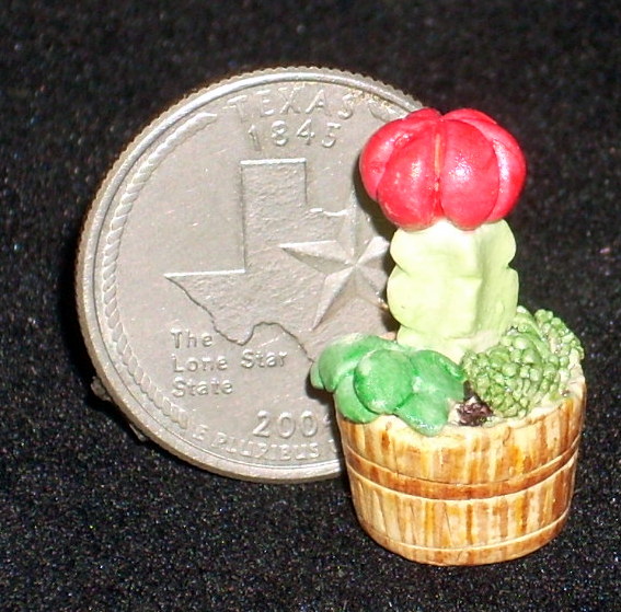 Cactus #H&H002 Floral Garden Desert Plant Dollhouse 1:12 Mini