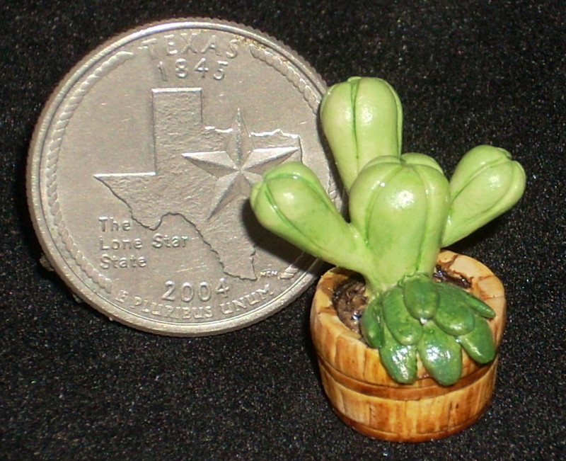 Cactus #H&H005 Floral Garden Desert Plant Dollhouse 1:12 Mini