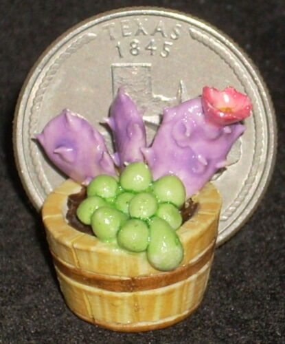 Cactus #H&H009 Floral Garden Desert Plant Dollhouse 1:12 Mini